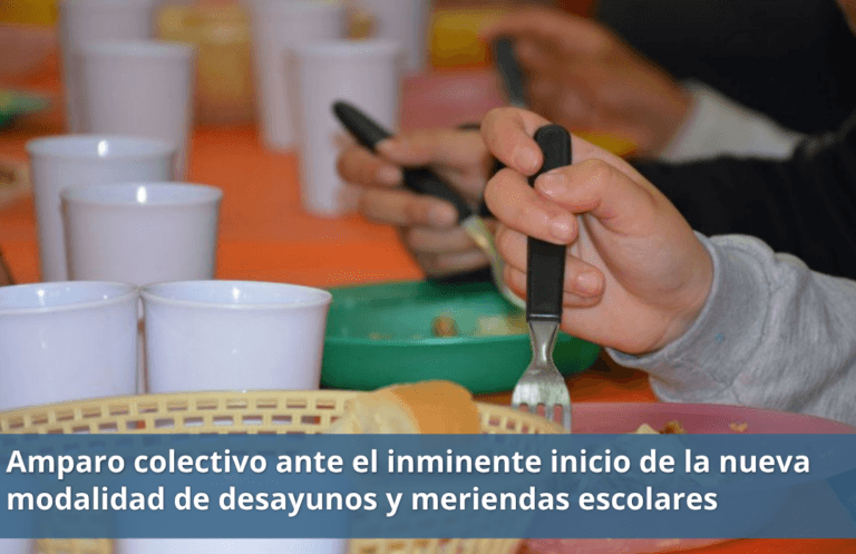 Un grupo de padres, la fundación Cauce y AGMER recurrieron a la Justicia ante el inminente inicio de la nueva modalidad de desayunos y meriendas escolares